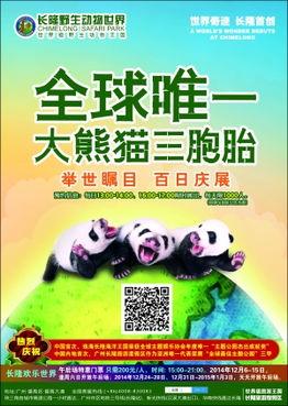今日娱乐最新爆料栏在哪,最新爆料栏大揭秘! 第3张 今日娱乐最新爆料栏在哪,最新爆料栏大揭秘! 第3张
